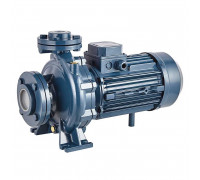 Консольно-моноблочный фланцевый насос PURITY PSTC 50-200/110 (N)
