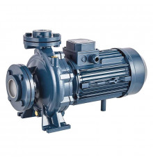 Консольно-моноблочный фланцевый насос PURITY PSTC 80-160/110 (N)